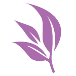 purple-leaf